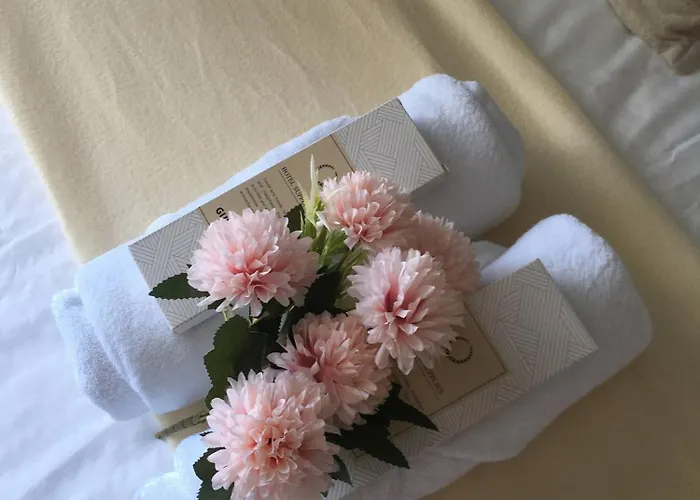 Affittacamere Cozy With Balcony And Pool Near Airport And Beaches